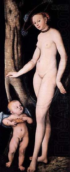 Lucas Cranach Venus and Cupid with a Honeycomb china oil painting image